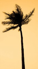 breeze. A solitary coconut tree with textured trunk stands against a gradient sky, evoking tropical serenity. travel magazines, destination branding, designed for travel destination branding.
