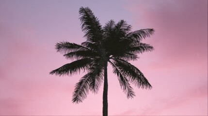 breeze. A solitary coconut tree with textured trunk stands against a gradient sky, evoking tropical serenity. travel magazines, destination branding, designed for travel destination branding.
