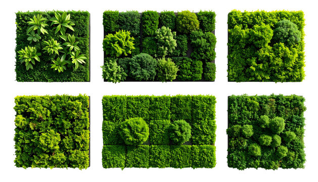 Six distinct green wall panels showcasing varied textures, heights, and plant arrangements