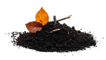 A pile of dark earth, with two leaves and twig fragments, isolated against black
