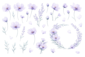 Watercolor lavender and lilac floral wreath elements with individual flowers, petals, and leaves, transparent background