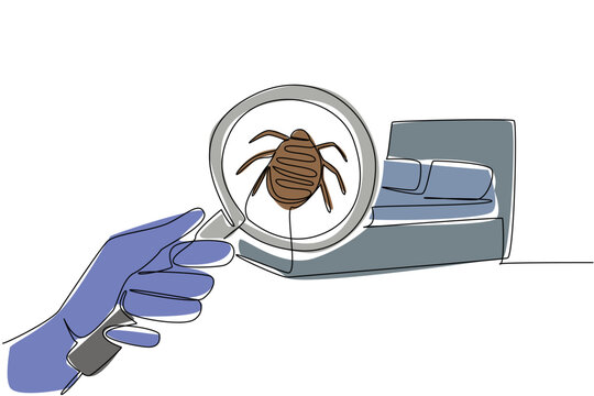 Single line drawing of a magnifying glass focusing on a bed bug near a bed, highlighting pest control awareness and hygiene concept for National Bed Bug Prevention Day.