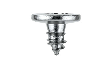 Close-up of a single silver metal screw with a wide head and threaded shaft