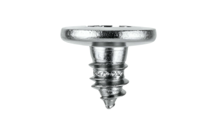 Close-up of a single silver metal screw with a wide head and threaded shaft