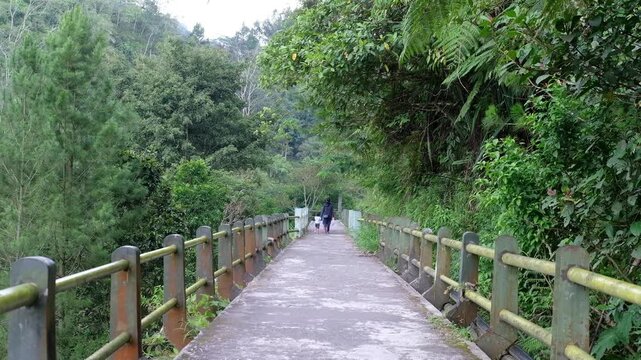 Java, Indonesia, South East Asia, walk in the woods