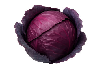 Obraz premium Whole red cabbage showcasing fresh raw vegetable for healthy food and cooking ingredients on transparent background