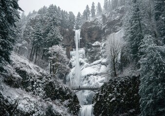 Majestic frozen waterfall cascading down rocky cliff, surrounded by snow-laden evergreen trees