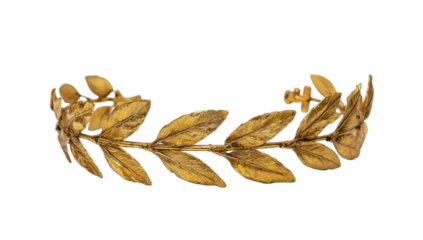 A golden laurel wreath with detailed leaves against a black background