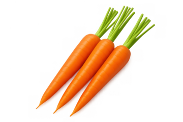 Three fresh orange carrots having green leaves on top, ingredient for healthy cooking, transparent background