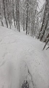 VERTICAL, POV: Snow sprays around as a snowboarder blasts through deep powder in a snowy forest. The thrill of snowboarding on freshly fallen snow in the backcountry of a ski resort in European Alps.