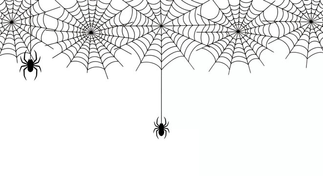 A detailed vector illustration showcases a series of spider webs, each meticulously crafted and connected, with a few spiders hanging, all set against a clean white background.