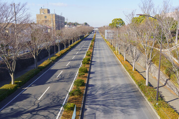 【日本の風景】一直線の道路｜千葉県千葉市緑区・塩田町誉田町線