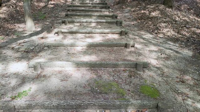 公園の階段