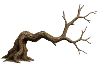 Leafless twisted tree trunk with bare branches, symbolizing death, decay, and winter on transparent background