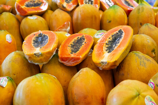 North America, Mexico, Nayarit, Bahia de Banderas. Papaya, is the plant Carica papaya, species, genus Carica,of family Caricaceae.