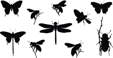 Insect silhouettes, butterfly wings, dragonfly shape, bee outline, wasp design, beetle insect, entomology study, insect collection, nature illustration, wildlife art
