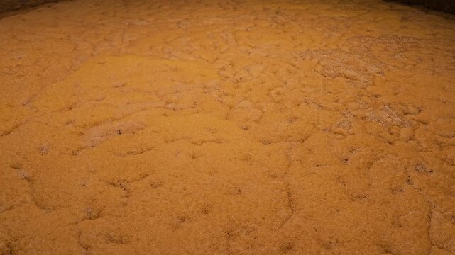Fermenting grain mash for beer or bourbon production