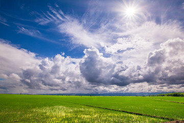 green field and blue sky