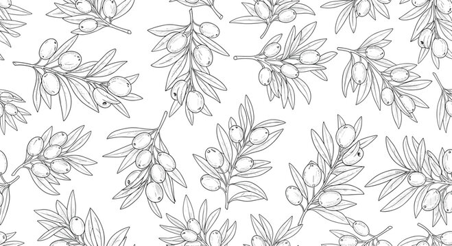 Seamless pattern of hand-drawn olive branches with leaves and fruits, depicted in a black and white vintage engraving line art style.