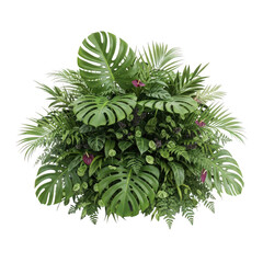 Fototapeta premium Lush tropical foliage arrangement featuring monstera leaves and various green plants isolated on transparent background, creating a vibrant and exotic botanical display