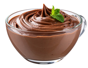 Decadent Chocolate Pudding Swirl in Glass Cup with Fresh Mint Garnish