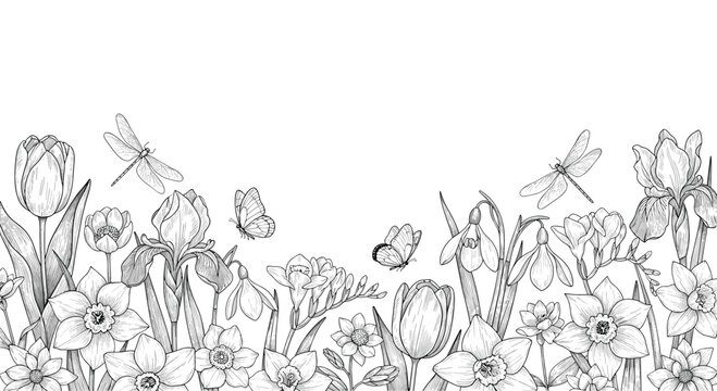 Hand-drawn seamless border of spring flowers, butterflies, and dragonflies in a vintage black and white engraving style.