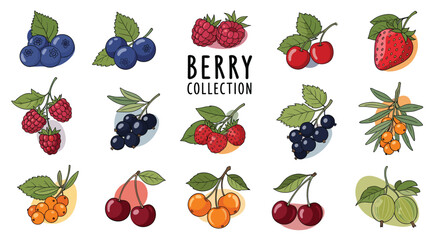 Large collection of hand-drawn garden and wild berries with leaves, isolated on a white background with color accents.