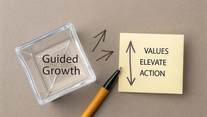 Conceptual Representation of Guided Growth with Emphasis on Values, Elevation, and Action Strategies in Business Development