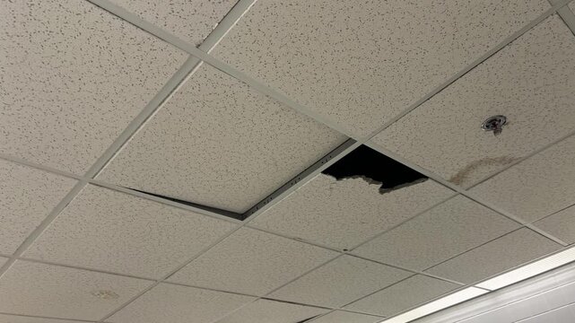 Damaged Drop Ceiling in Public Restroom
