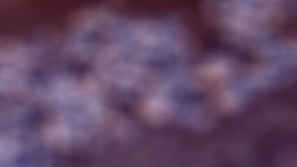 Abstract background, large photograph of ducks raised by farmers for subsistence in central Thailand. Gradient of purple, white, and light black. Water, nature, birds, animals, creatures, sand, textur