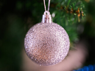 Glitter decoration hanging on a green tree branch