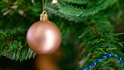 Gold ornament hangs on a Christmas tree branch