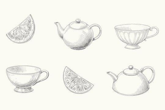 Vintage coffee and tea pots with steaming cups illustration. Engraved style tea elements for creative design. Eps 10