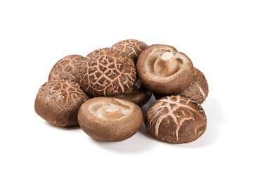 Shiitake mushrooms (Lentinus edodes) isolated on white background.