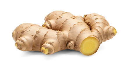 A single piece of fresh ginger root on a png transparent
