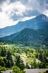 Naklejka premium Sunlight Filtering Through Misty Mountain Forest, Nagano, Japan