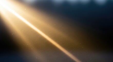 Golden rays of sunlight shining through a misty forest, creating a serene and magical atmosphere.