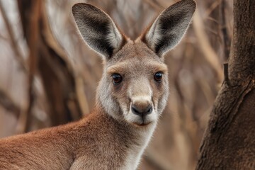 Fascinating close-up of a kangaroo in its natural habitat, showcasing its curious expression and detailed features in a serene environment during daylight hours