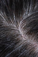 髪　女性　クローズアップ