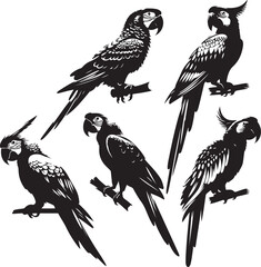 Obraz premium Birds icon silhouette vector with white background