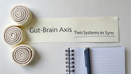 Gut-Brain Axis Concept with Cinnamon Rolls and Notebook on White Background Representing Connection Between Two Systems