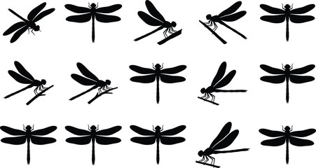 Dragonfly silhouette set, flying dragonflies, perched insects, wing shapes, nature illustration, entomology vector, black insect icons, wildlife design © Saleha