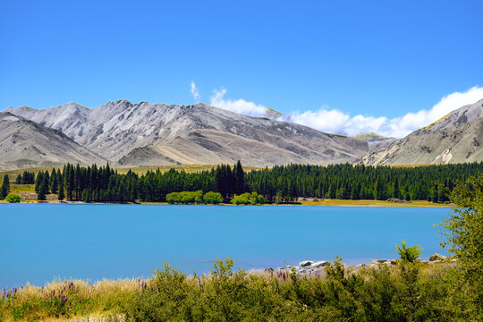 Bright turquoise lake with forest and mountain backdrop under clear blue sky in New Zealand