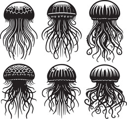 Jellyfish icon silhouette vector with white background