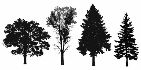 Silhouettes of four different tree types against a white background