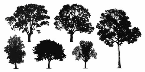 Fototapeta premium A collection of silhouetted trees against a plain white background