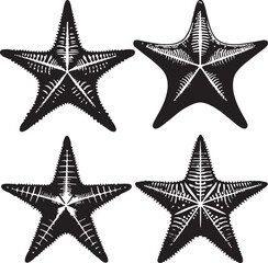 Star fish text icon silhouette vector with white background