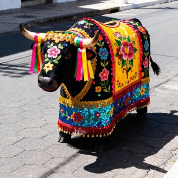 Boi-Bumb&aacute; Decorado para Festa Folcl&oacute;rica
