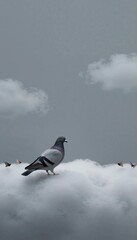 Peaceful Cappuccino Coffee Background with City Pigeon and Subtle Moth Border