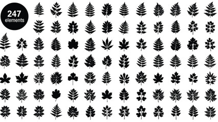 Black silhouettes of various leaf species set, forest nature elements collection with fern maple and deciduous leaves isolated on white. © Shahariay
